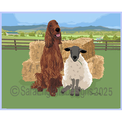 Irish Setter - Farm Dog