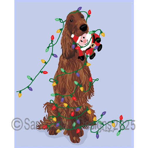 Irish Setter - Naughty