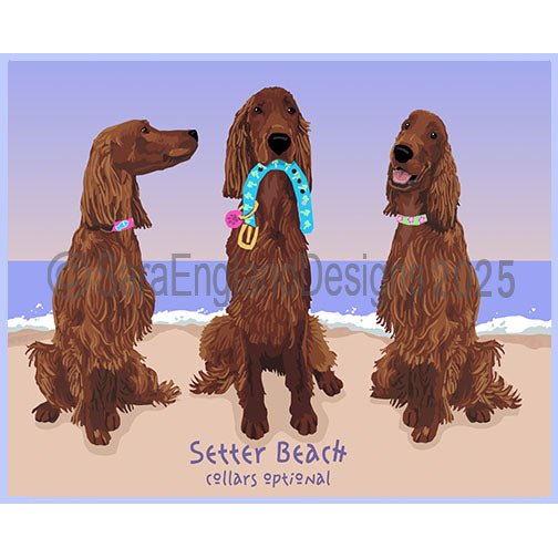Irish Setter - Collars Optional