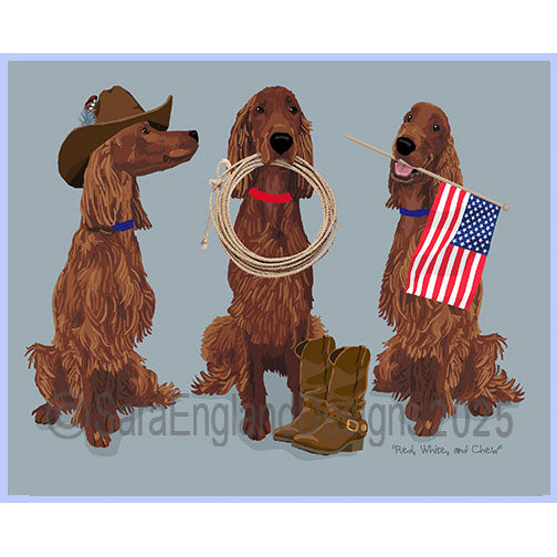 Irish Setter - Red, White & Chew
