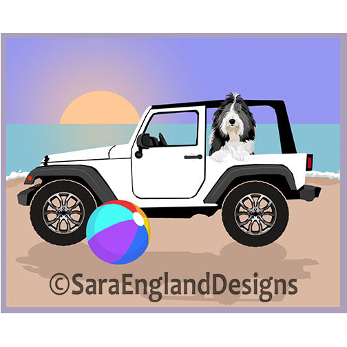 Bearded Collie - Off Road
