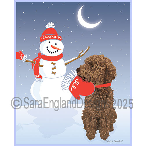 Lagotto Romagnolo - Winter Wonder