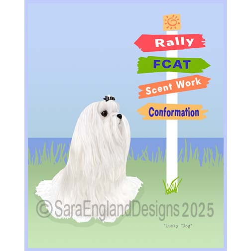 Maltese - Lucky Dog-Sports-Show