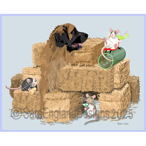 Leonberger - Barn Hunt