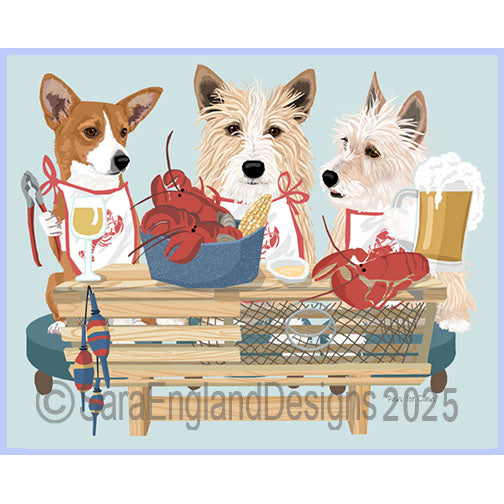 Portuguese Podengo Pequeno - Lobster Feast