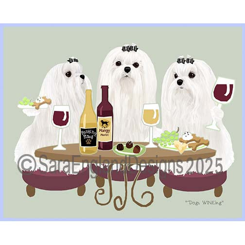 Maltese - Dogs Wineing-Show