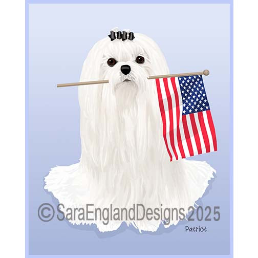 Maltese - Patriot-Show