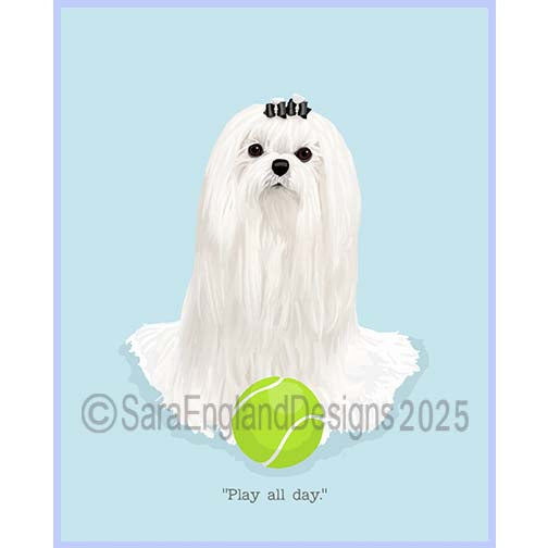 Maltese - Play All Day-Show