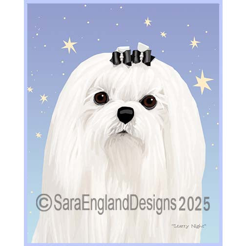 Maltese - Starry Night-Show