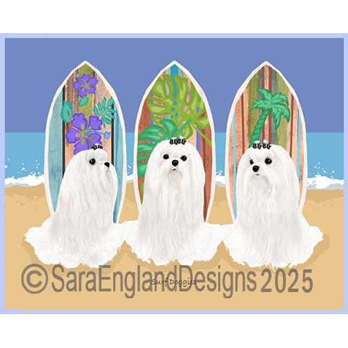 Maltese - Surf Doggies-Show