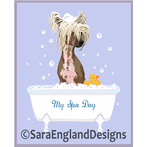 Chinese Crested - My Spa Day