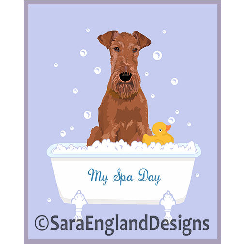Irish Terrier - My Spa Day