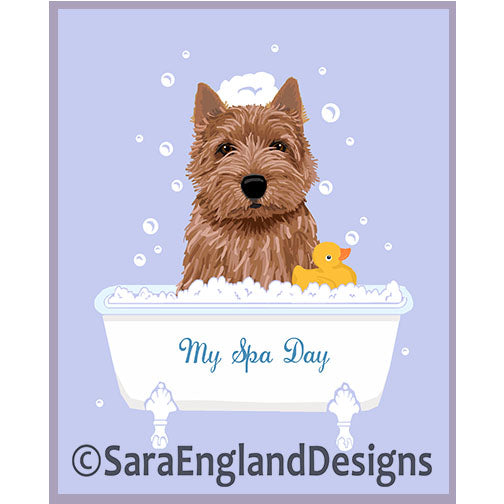 Norwich Terrier - Norwish Terrier - My Spa Day