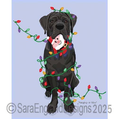 Cane Corso - Naughty-Black-Natural
