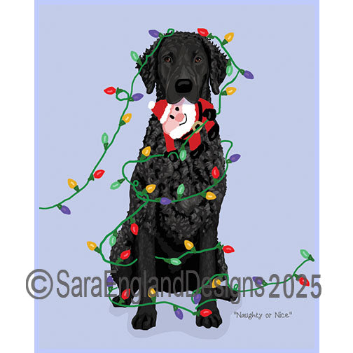 Curly Coated Retriever - Naughty-Black