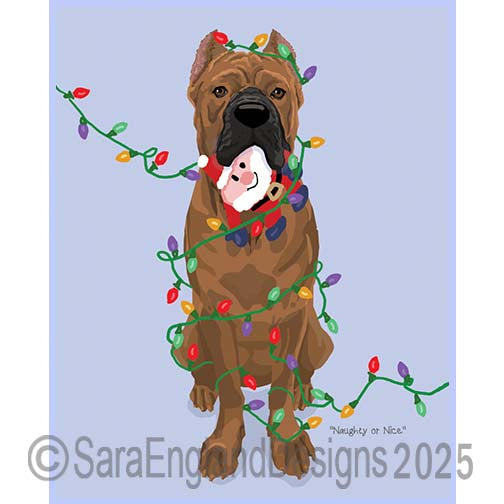 Cane Corso - Naughty-Brown