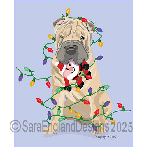 Shar Pei - Naughty