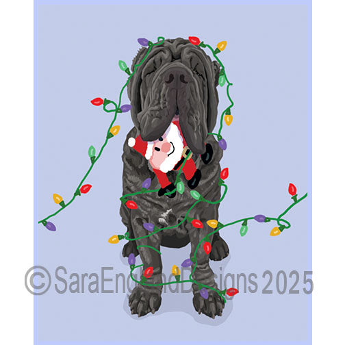 Neapolitan Mastiff - Naughty-Blue