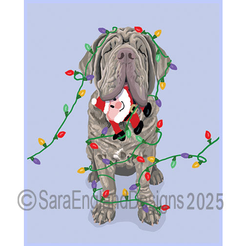 Neapolitan Mastiff - Naughty-Tawny-Natural