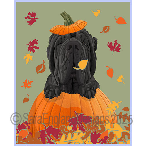 Neapolitan Mastiff - Pumpkin-Black