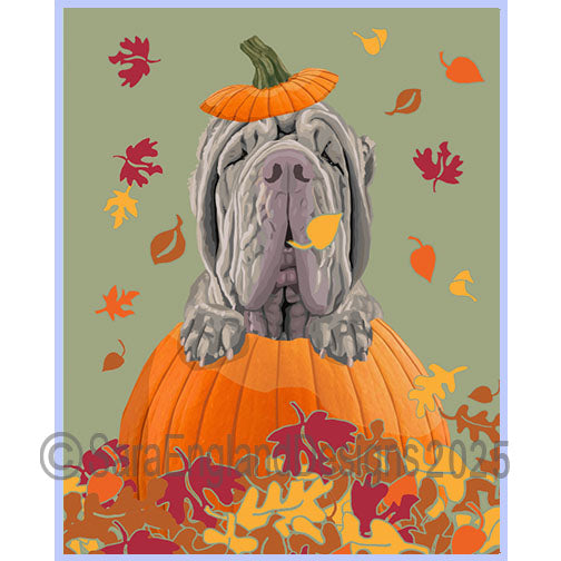 Neapolitan Mastiff - Pumpkin-Tawny