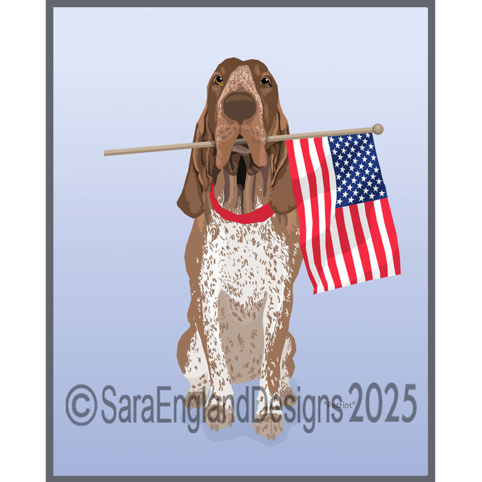 Bracco Italiano - Patriot-Brown