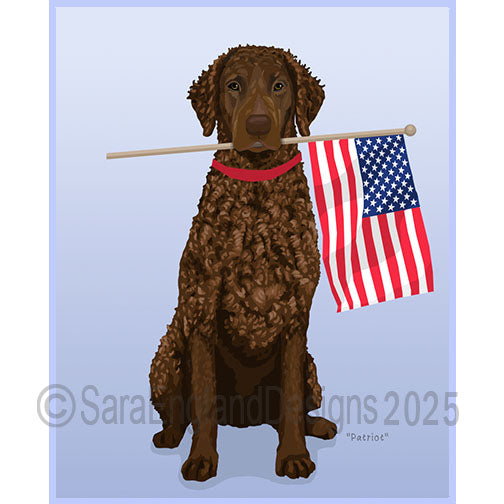 Curly Coated Retriever - Patriot-Liver