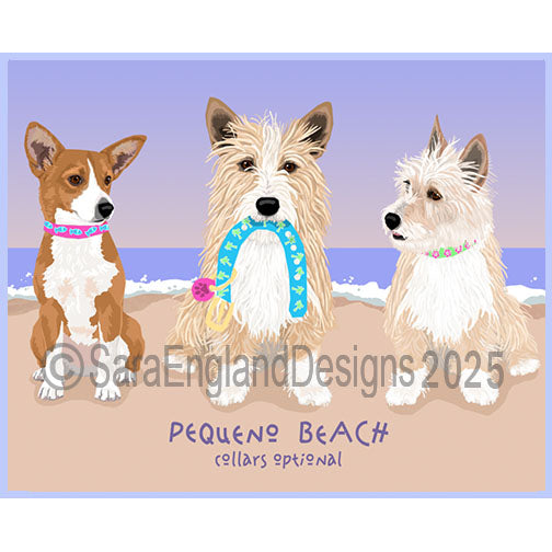 Portuguese Podengo Pequeno - Collars Optional