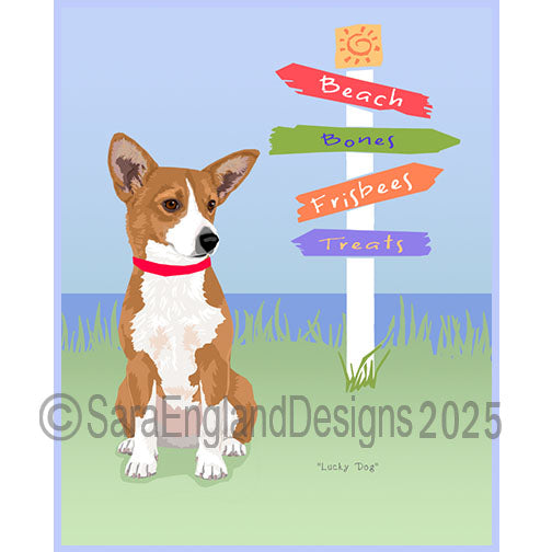 Portuguese Podengo Pequeno - Lucky Dog-Orange