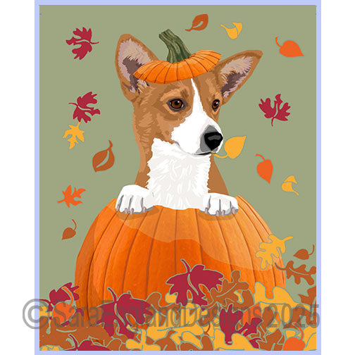 Portuguese Podengo Pequeno - Pumpkin-Orange