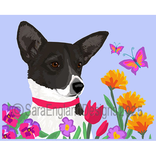 Portuguese Podengo Pequeno - Garden-Black