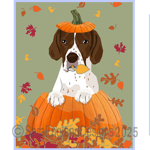 Pointer - Pumpkin-Liver