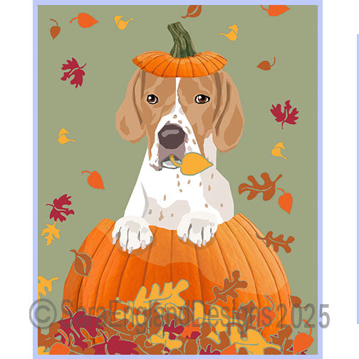 Pointer - Pumpkin-Orange