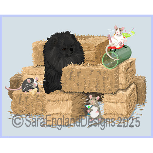 Pomeranian - Barn Hunt-Black