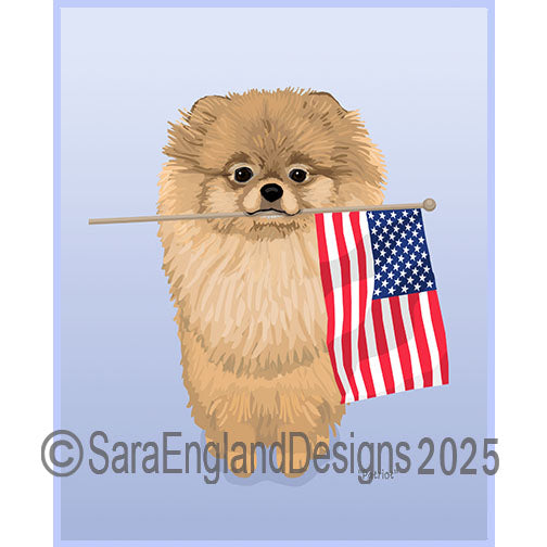Pomeranian - Patriot-Brown