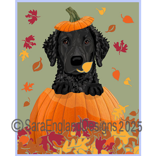 Curly Coated Retriever - Pumpkin-Black