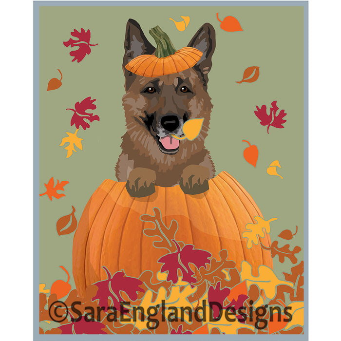 German Shepherd - Pumpkin