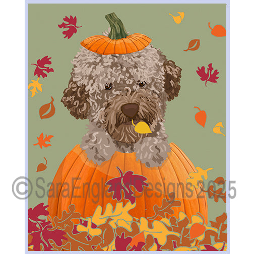 Lagotto Romagnolo - Pumpkin