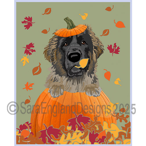 Leonberger - Pumpkin