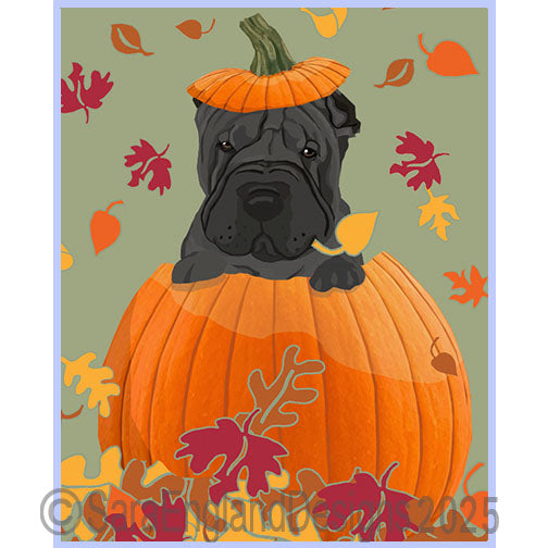 Shar-Pei - Pumpkin