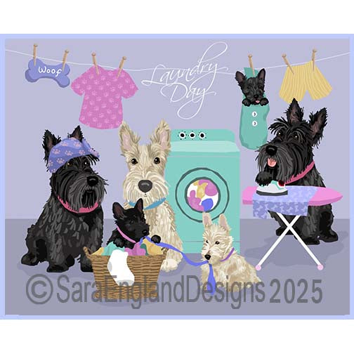 Scottish Terrier - Laundry Day