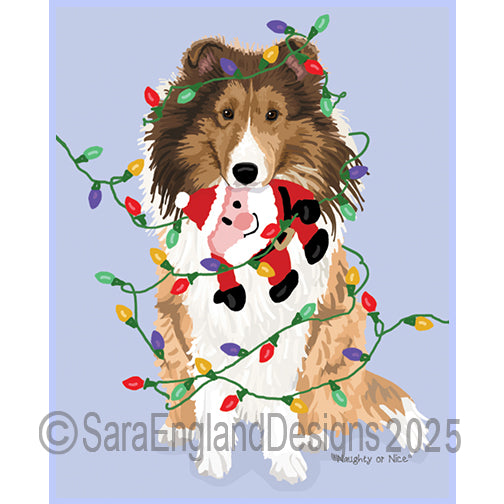 Shetland Sheepdog - Naughty