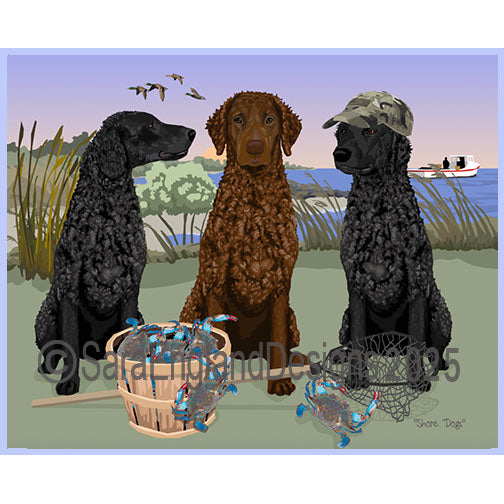 Curly Coated Retriever - Shore Dogs-Mix Liver