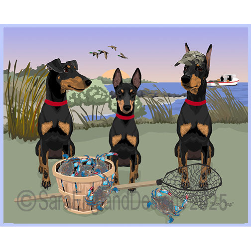 Manchester Terrier - Shore Dogs
