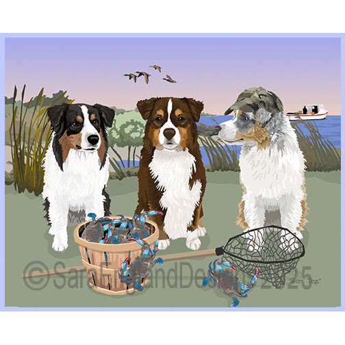 Miniature American Shepherd - Shore Dogs