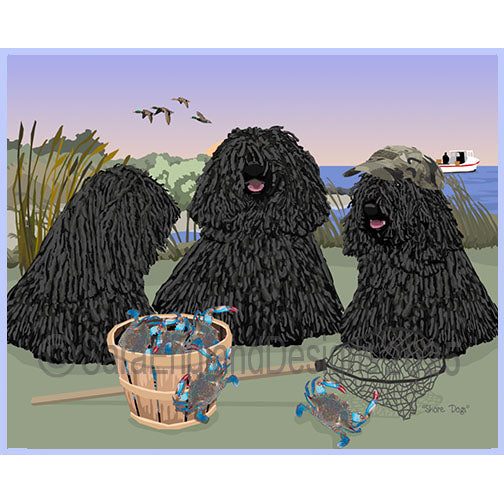 Puli - Shore Dogs