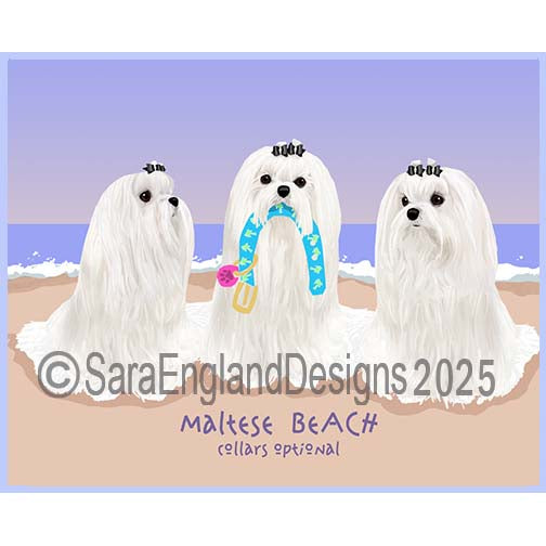 Maltese - Collars Optional-Show