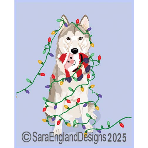Siberian Husky - Naughty