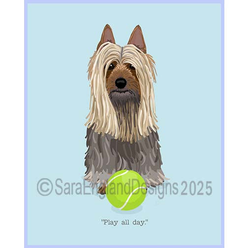 Silky Terrier - Play All Day