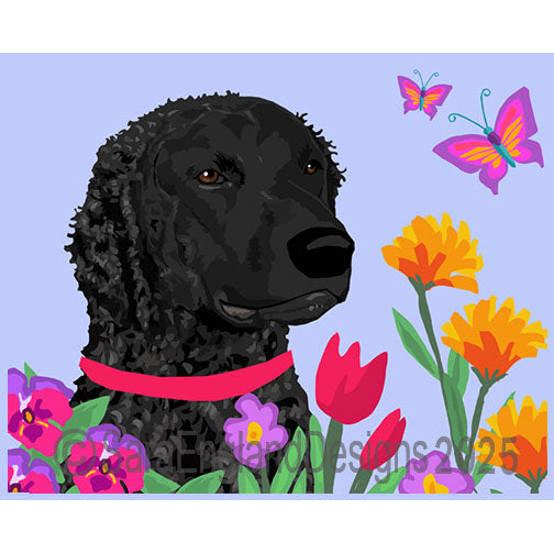 Curly Coated Retriever - Garden-Black Profile
